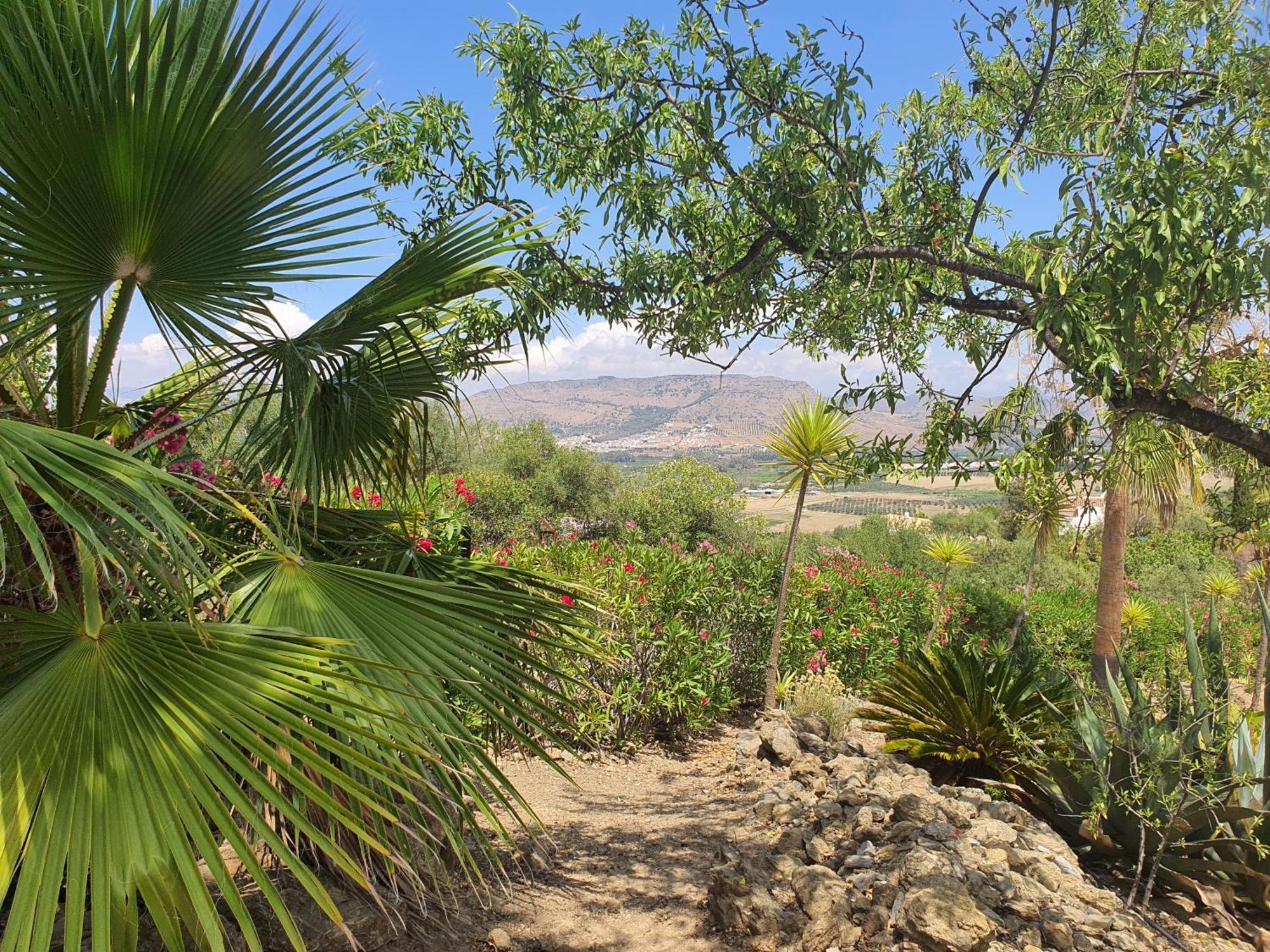 Finca Flamenco Holiday Suites Adults Only Pizarra Esterno foto